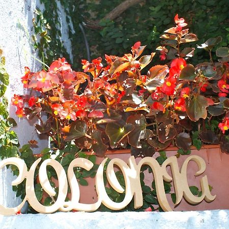Estudio Taller De Tejas Colonia B&B Colonia del Sacramento Ngoại thất bức ảnh