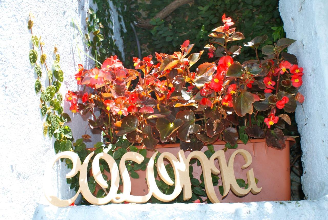 Estudio Taller De Tejas Colonia B&B Colonia del Sacramento Ngoại thất bức ảnh